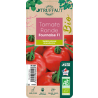 Plant de tomate 'Fournaise' F1 bio : pot de 0,5 litre